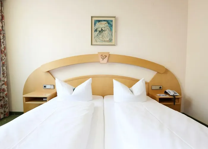 Ana Goggl, Trademark Collection By Wyndham 4* לנדסברג אם לך