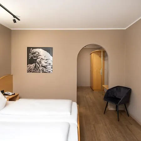 Arthotel Ana Goggl فندق